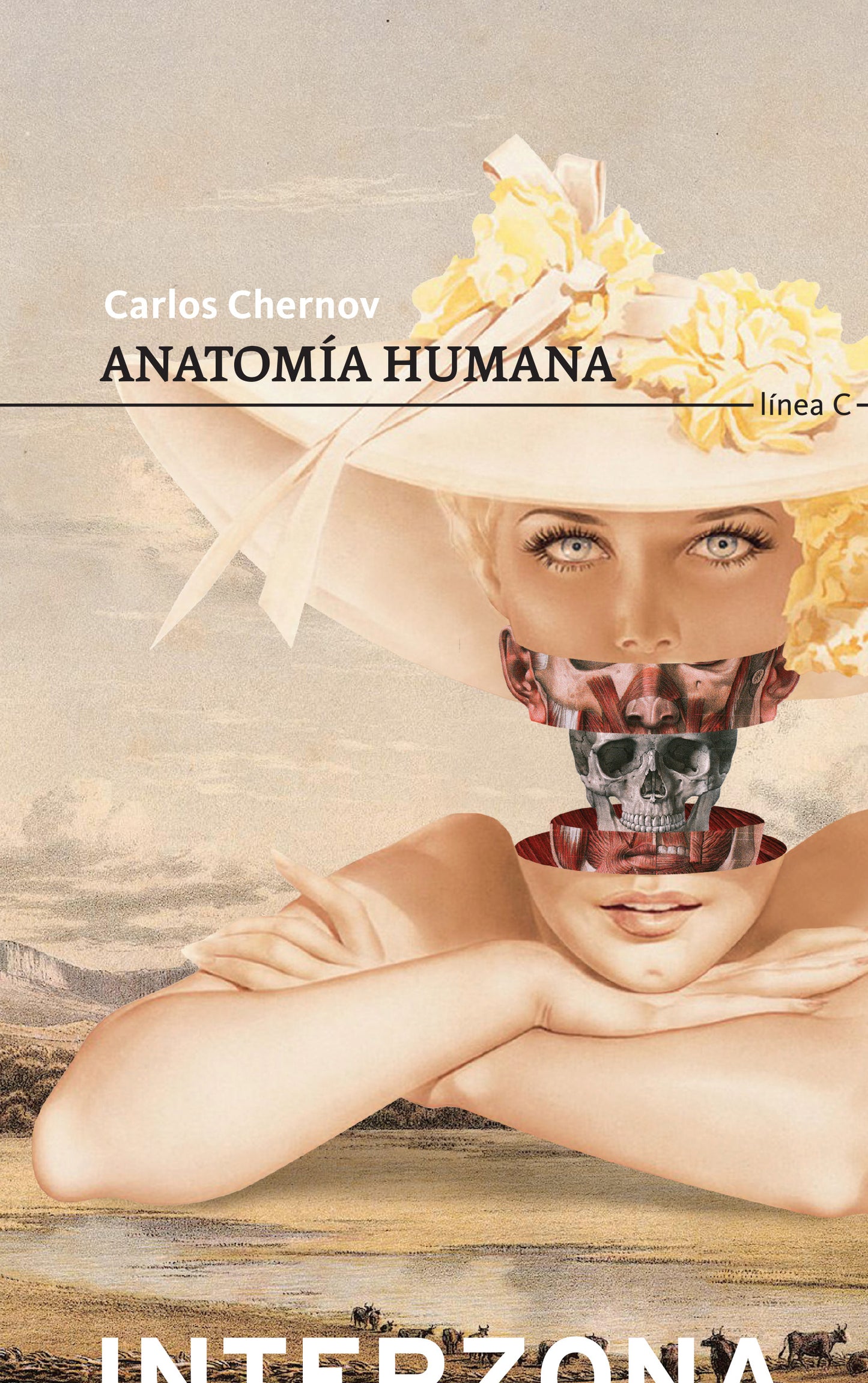 Anatomía humana