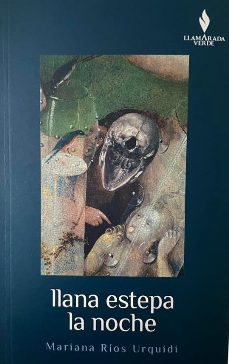 llana estepa la noche