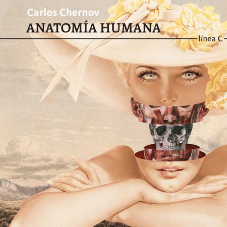 Anatomía humana