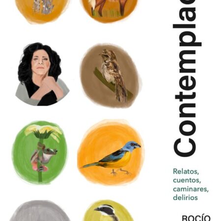 Contemplación