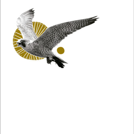 El peregrino