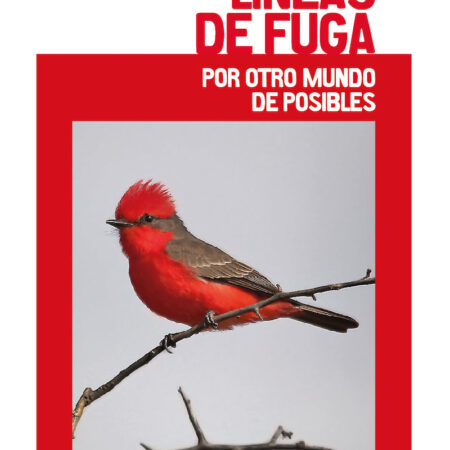 Líneas de fuga - por otro mundo de posibles
