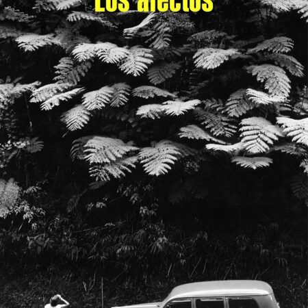 Los afectos