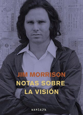 Notas sobre la vision
