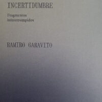 Arte, conocimiento e incertidumbre. Fragmentos ininterrumpidos