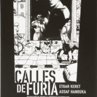 Calles de furia