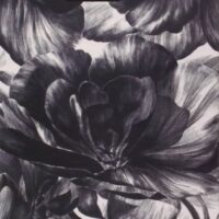 El final de la Historia