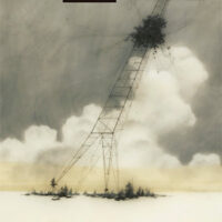 El hombre aparece en el holoceno