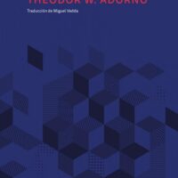 Lecciones sobre dialéctica negativa