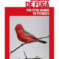 Líneas de fuga - por otro mundo de posibles