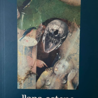 llana estepa la noche