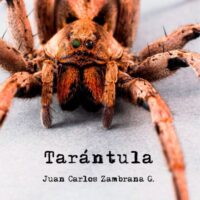 Tarántula