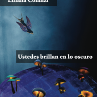 Ustedes brillan en lo oscuro